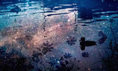 lake
