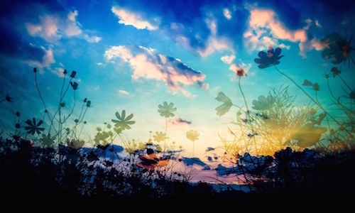 sky